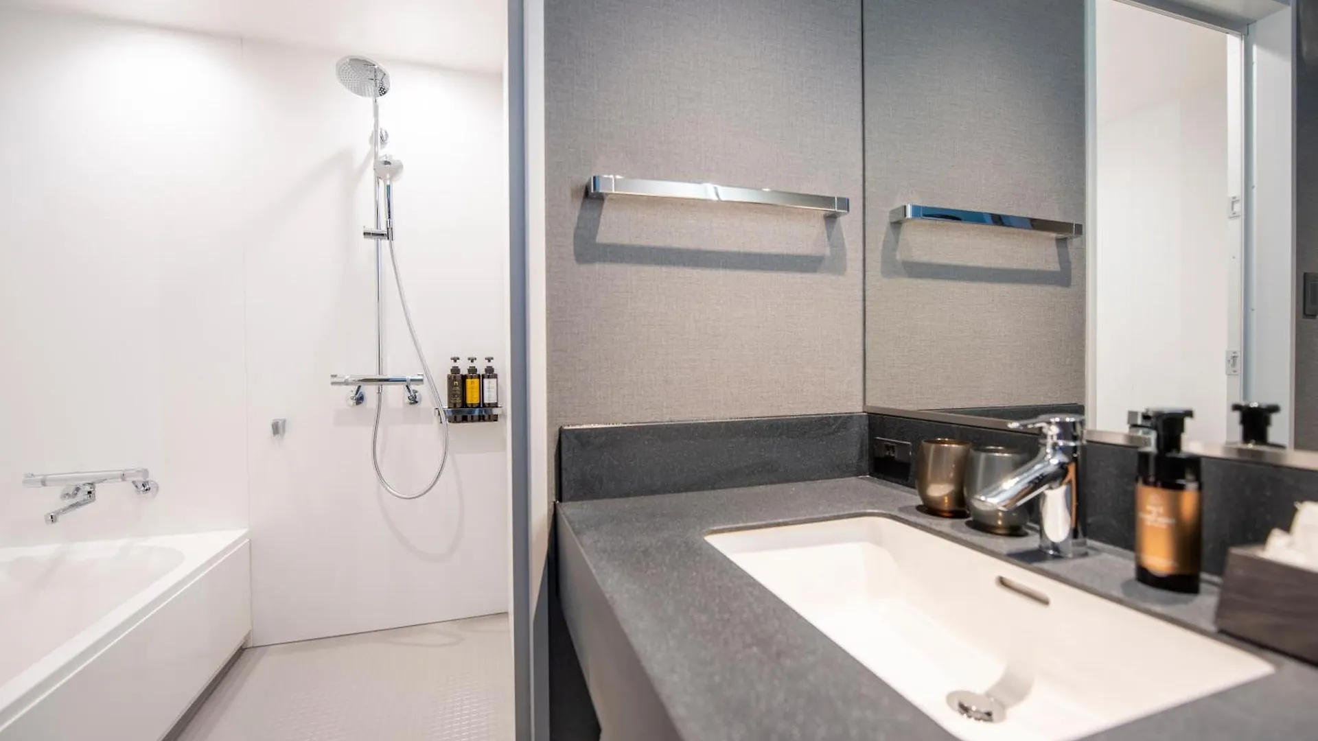 ****  The Gate Hotel Ryogoku By Hulic Tokyo prefektur Japan